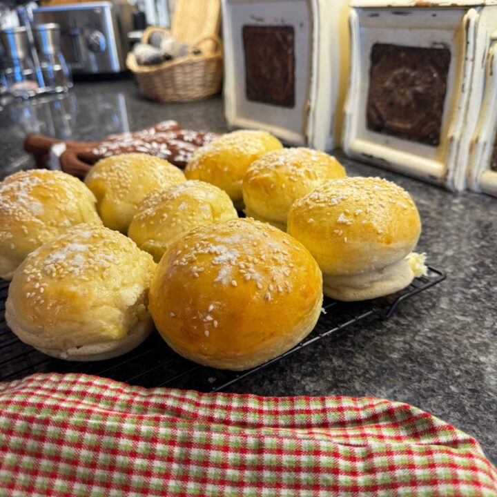 Hamburger Buns with Bread Machine